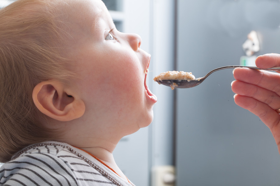 Jaw development and masticatory function
